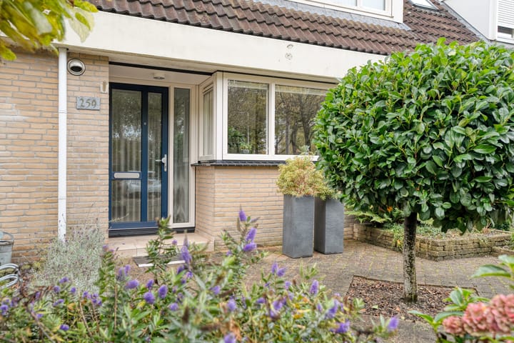 Foto 32 van Rijnlaan 259