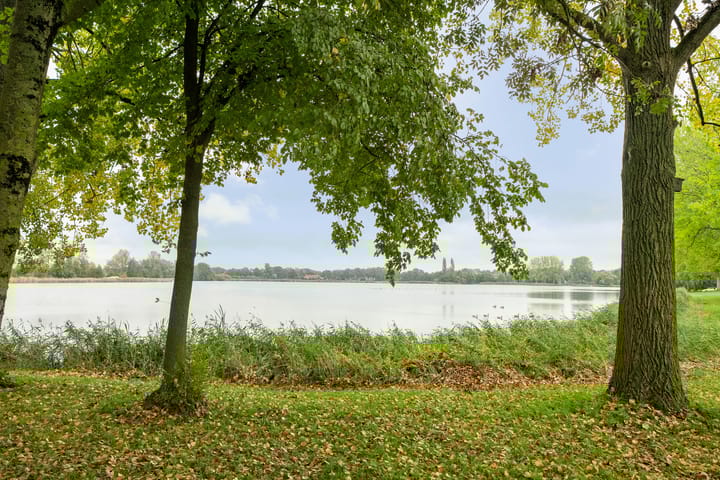 Foto 37 van Rijnlaan 259