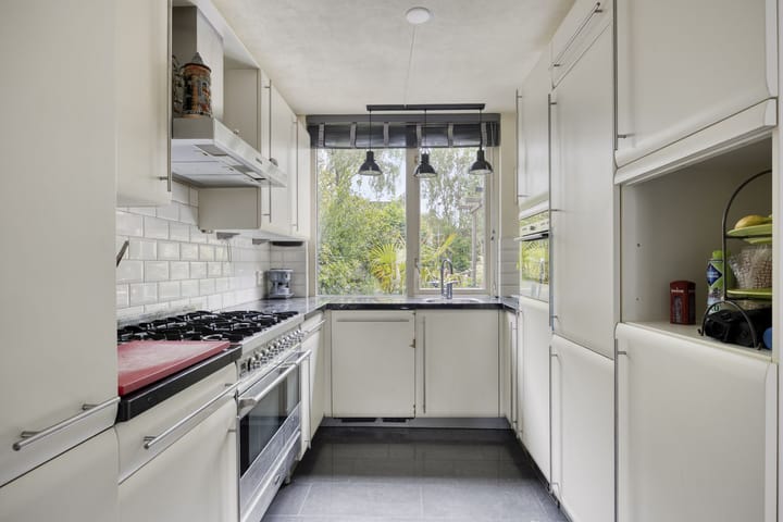 Foto 3 van Rietgors 9