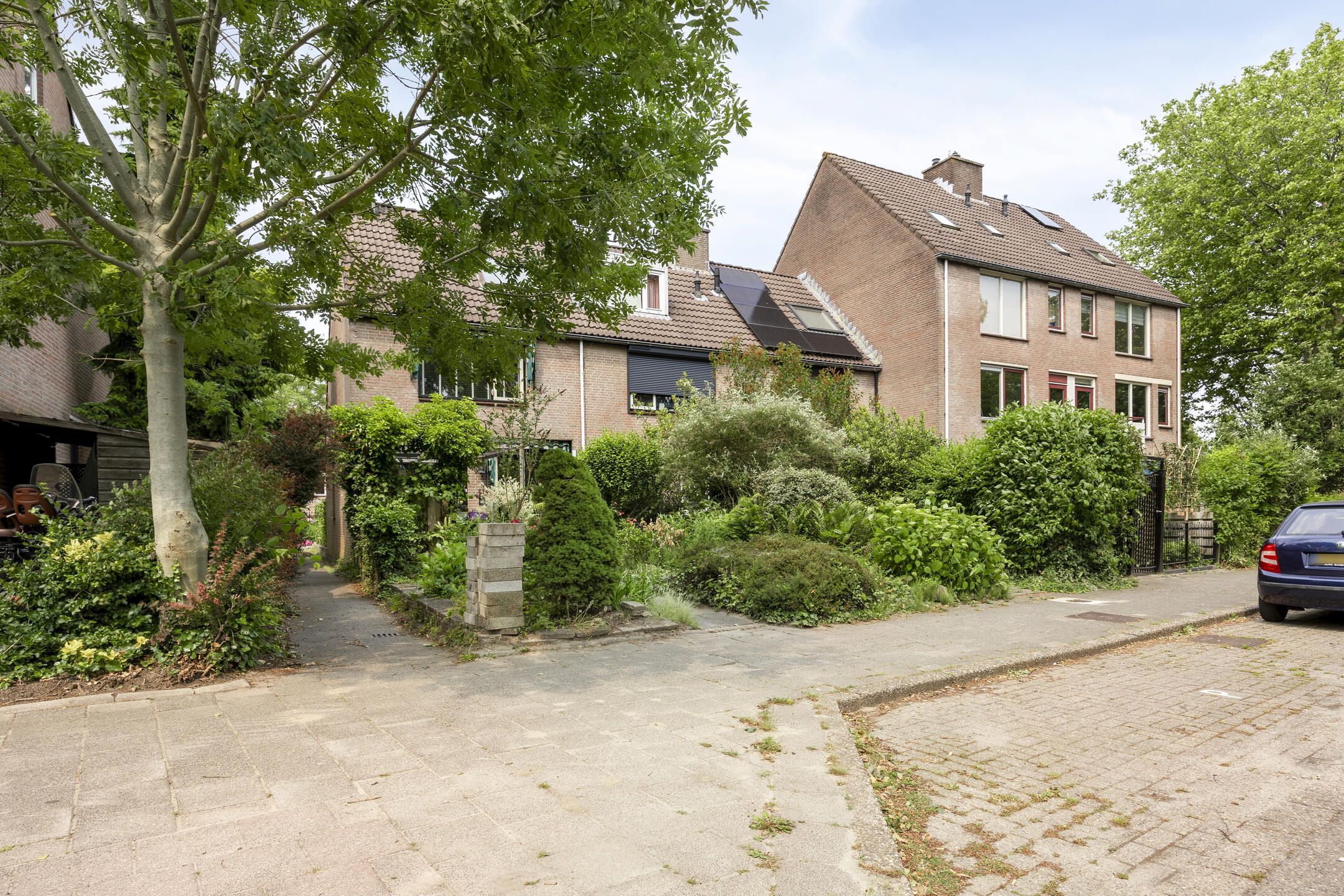 Foto 36 van Rietgors 9