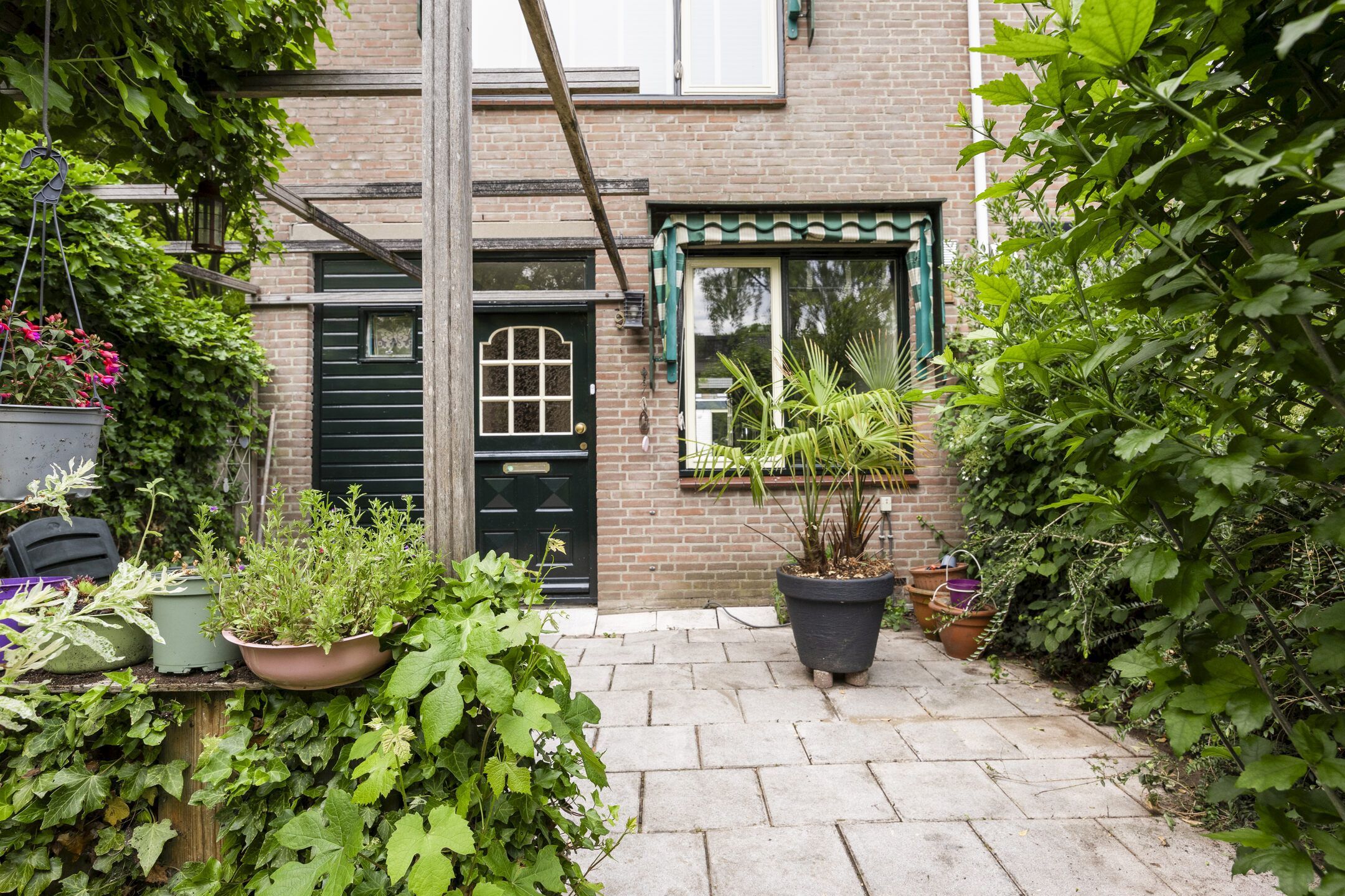 Foto 39 van Rietgors 9