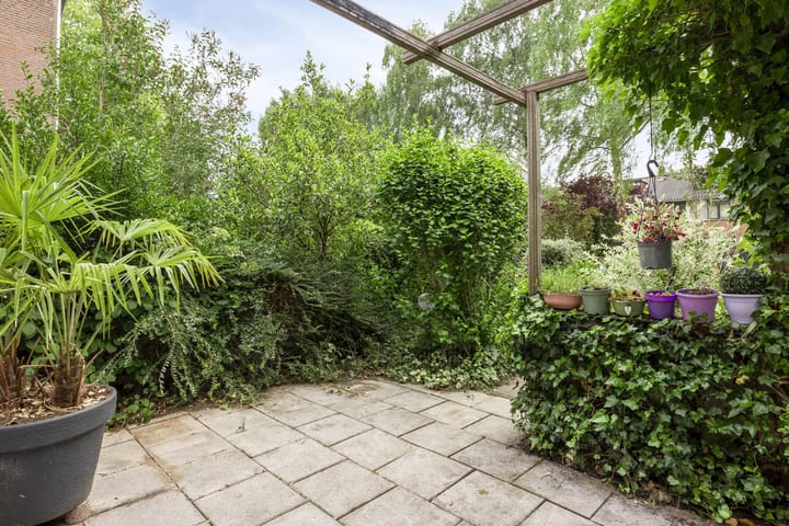 Foto 40 van Rietgors 9