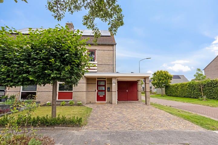 Foto 9 van Hoefblad 7