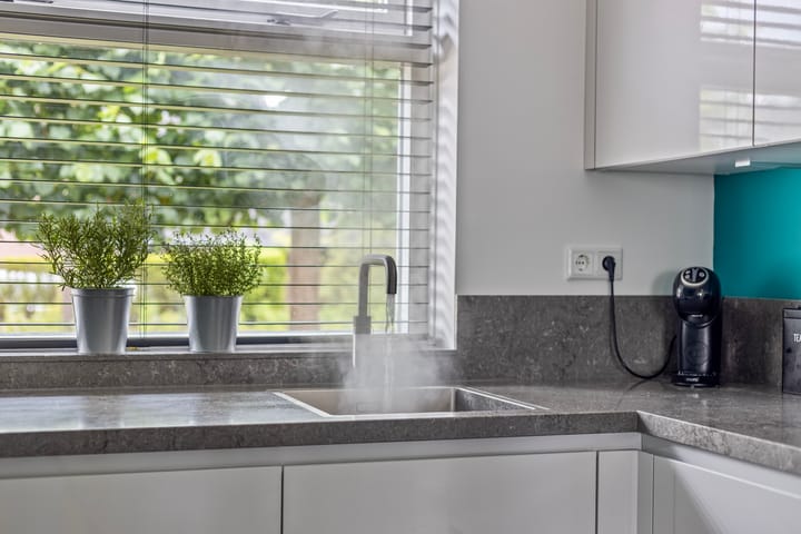 Foto 18 van Hoefblad 7