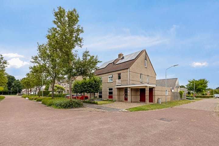 Foto 10 van Hoefblad 7