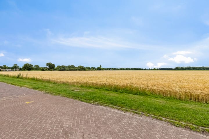 Foto 49 van Hoefblad 7