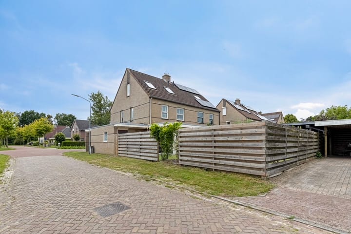 Foto 48 van Hoefblad 7