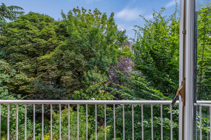 Foto 40 van Heemraadssingel 108-B