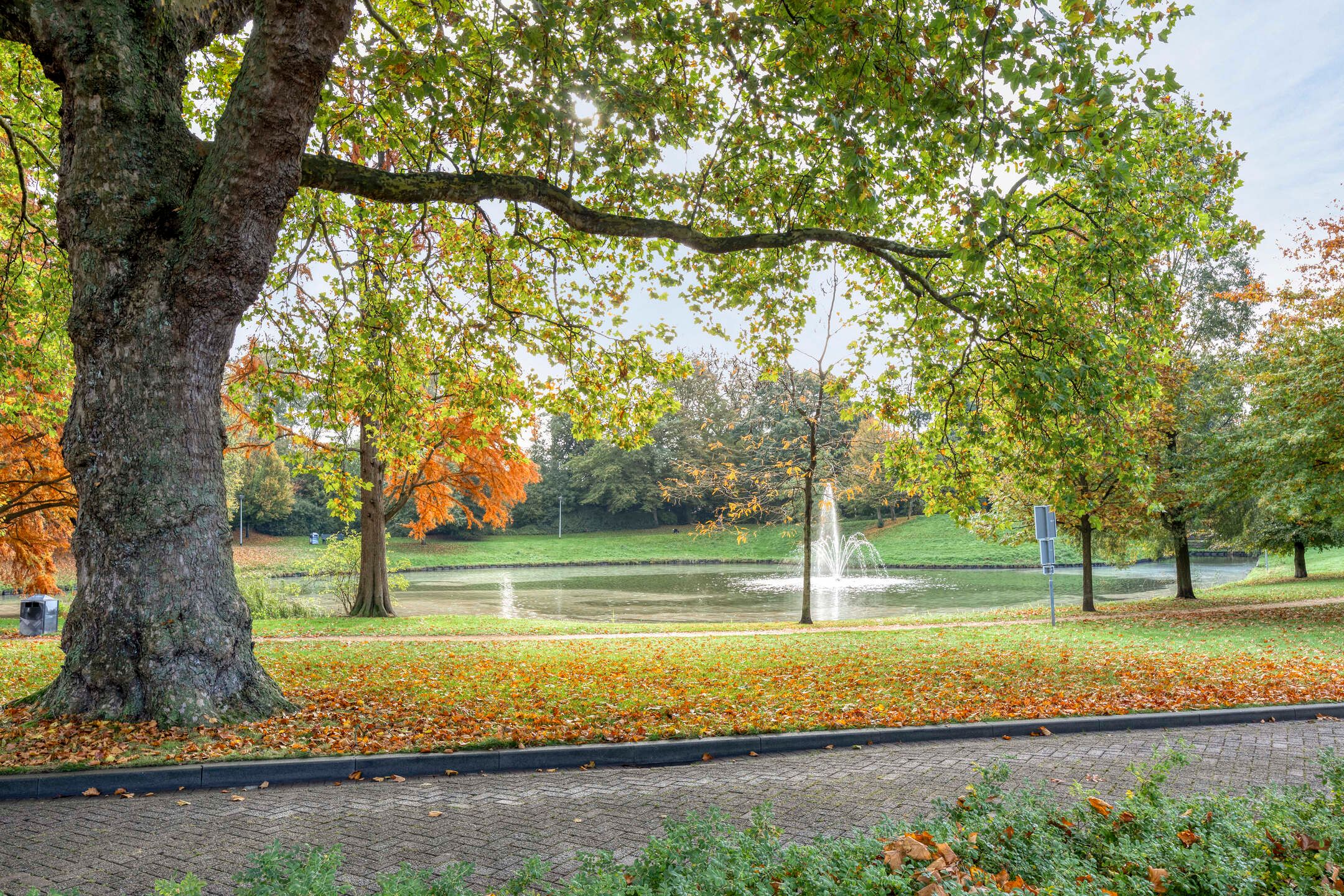 Foto 33 van Parklaan 45