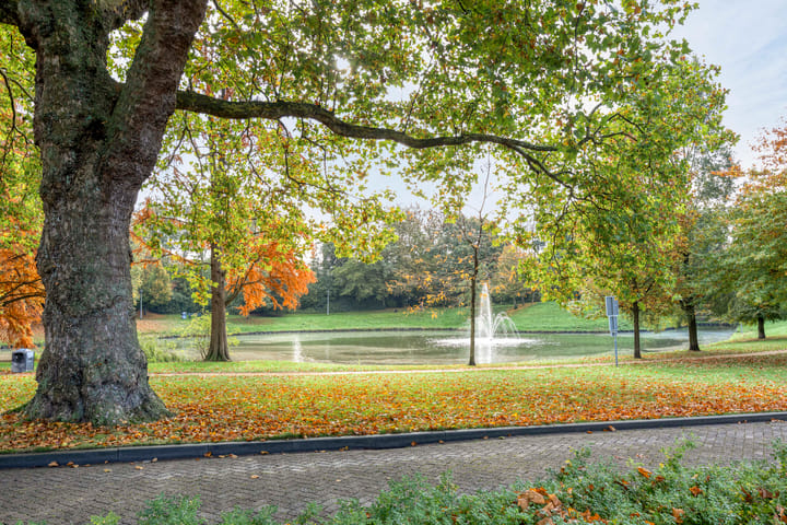 Foto 33 van Parklaan 45