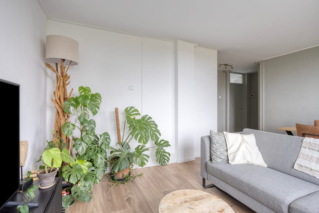 Foto 11 van Lisdoddelaan 8-3