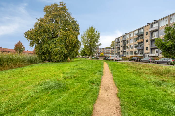 Foto 26 van Lisdoddelaan 8-3