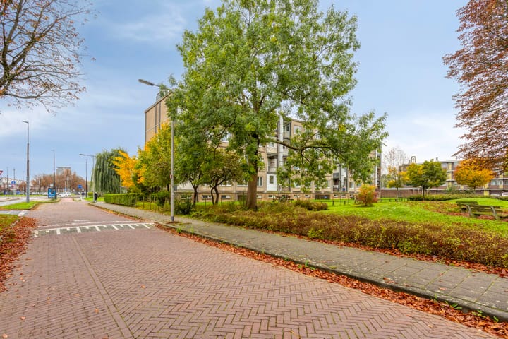 Foto 27 van Lisdoddelaan 8-3