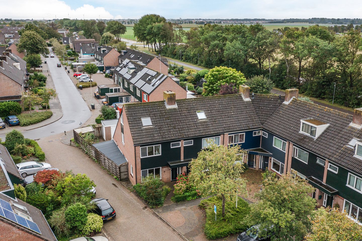 Photo 5 of Moerasakker 1