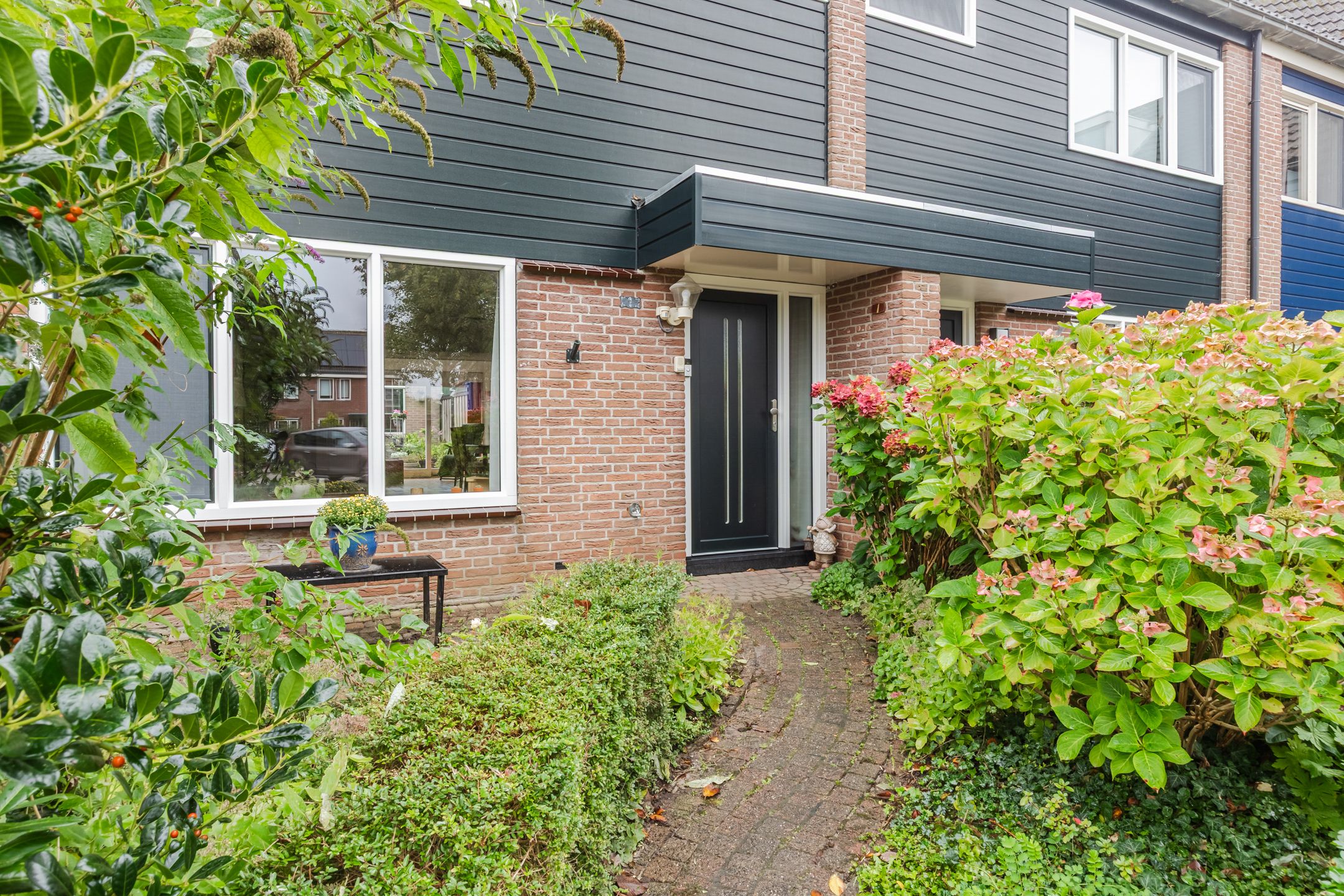 Photo 6 of Moerasakker 1