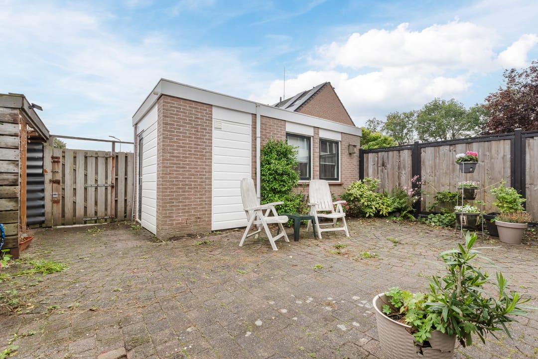 Photo 41 of Moerasakker 1