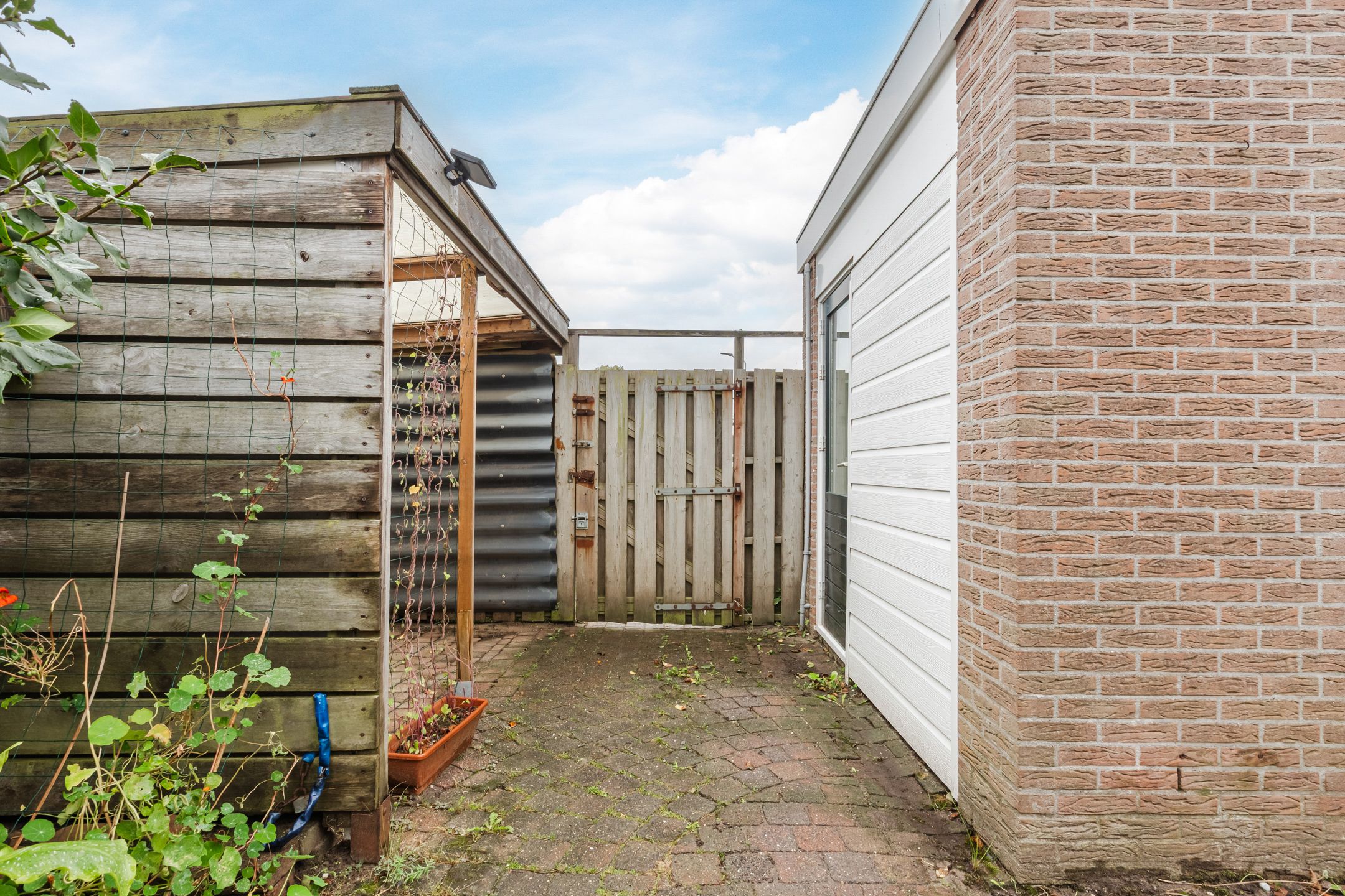 Photo 42 of Moerasakker 1