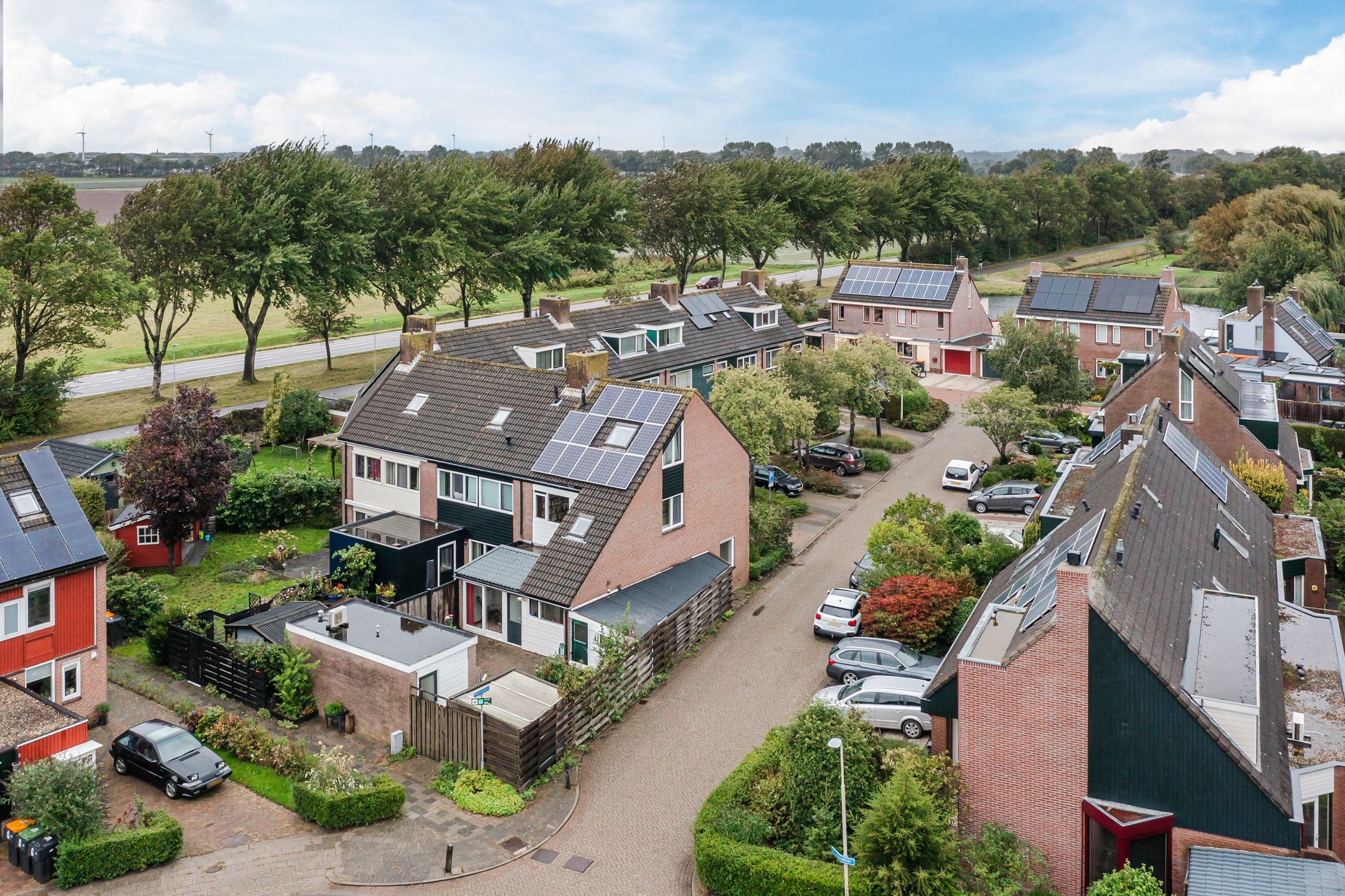 Photo 45 of Moerasakker 1