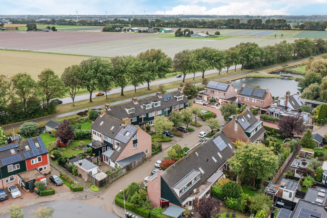 Photo 46 of Moerasakker 1