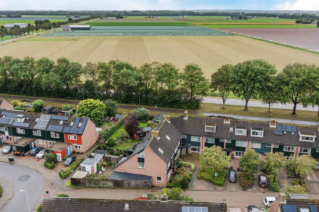 Photo 47 of Moerasakker 1