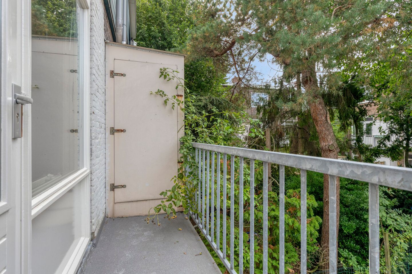 Foto 5 van Mosveld 59-1