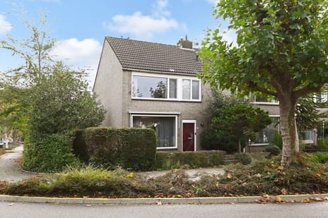 undefined main image