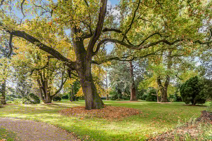 Photo 57 of van Galenlaan 5