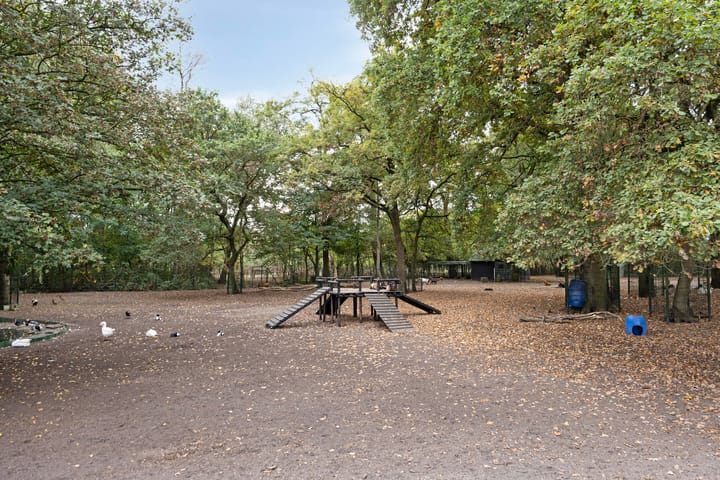 Foto 25 van Ophoviusstraat 7