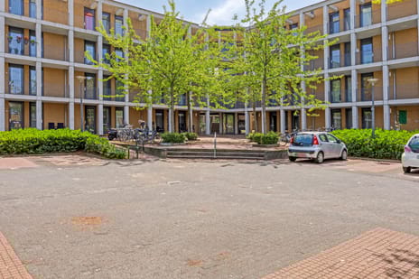 undefined main image