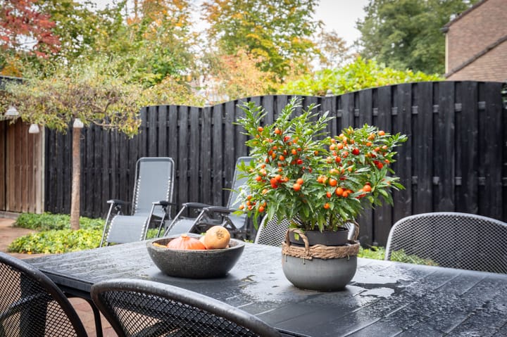 Photo 36 of Moorselaar 51