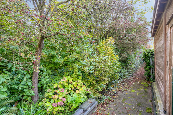 Foto 18 van Wipmolen 60