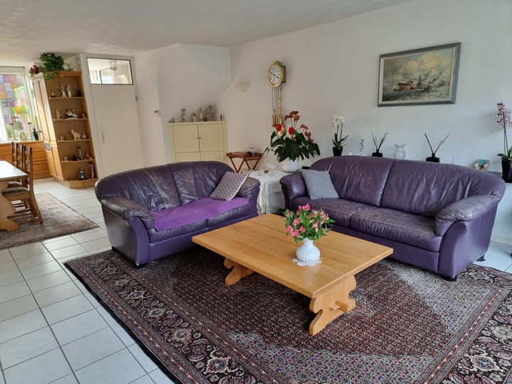 Foto 12 van Wipmolen 60