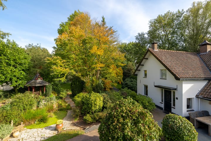 Foto 19 van Runselstraat 10