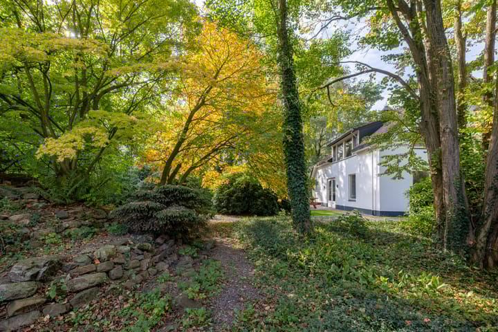 Foto 56 van Runselstraat 10