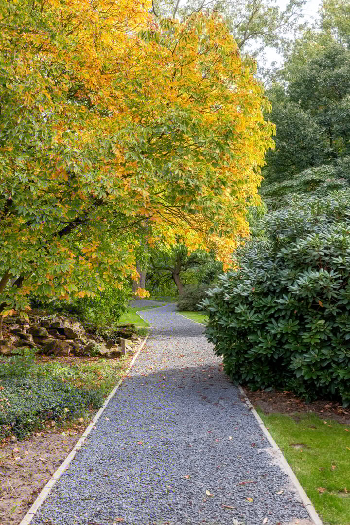 Foto 58 van Runselstraat 10