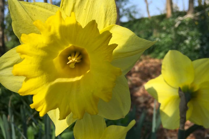 Foto 62 van Runselstraat 10