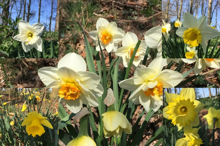 Foto 63 van Runselstraat 10