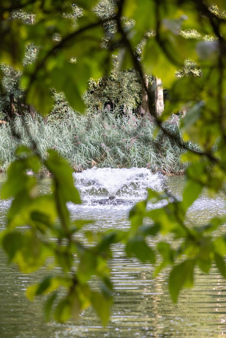 Foto 64 van Runselstraat 10