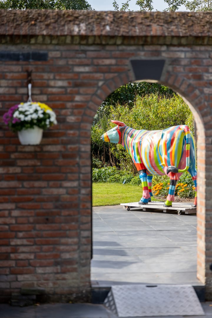 Foto 70 van Runselstraat 10