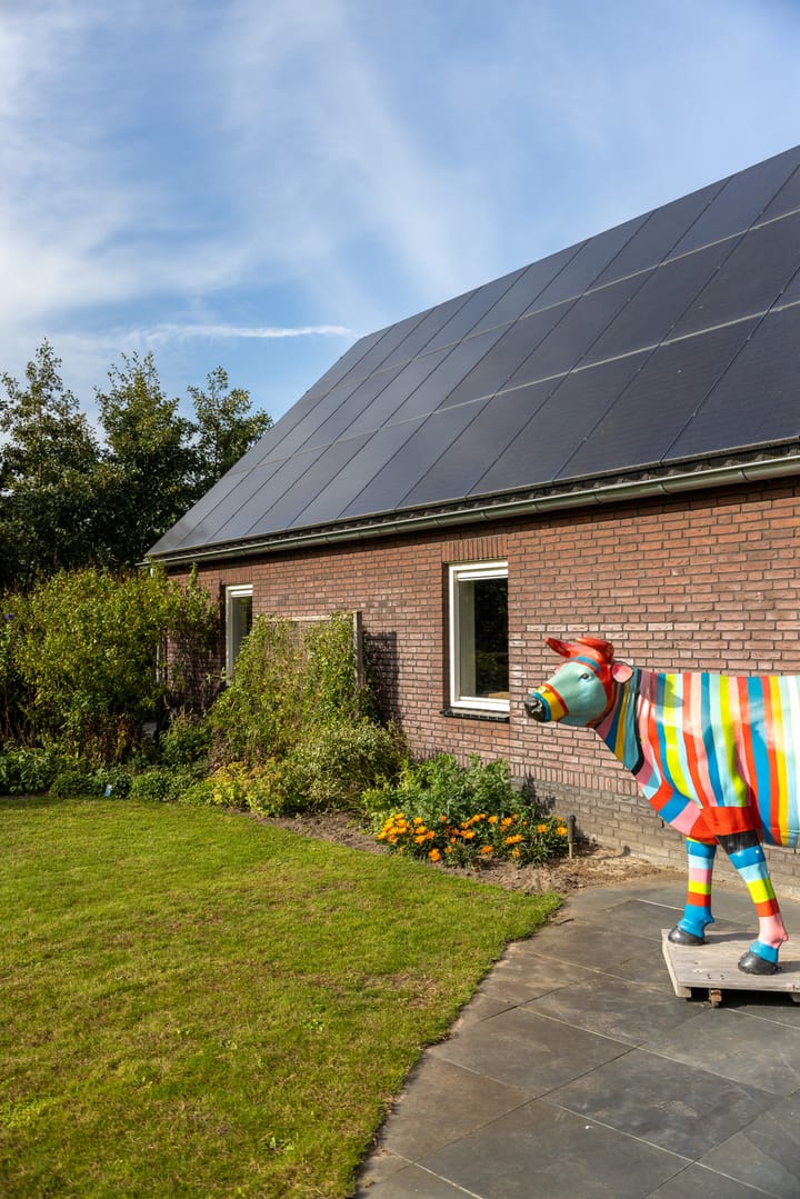 Foto 81 van Runselstraat 10