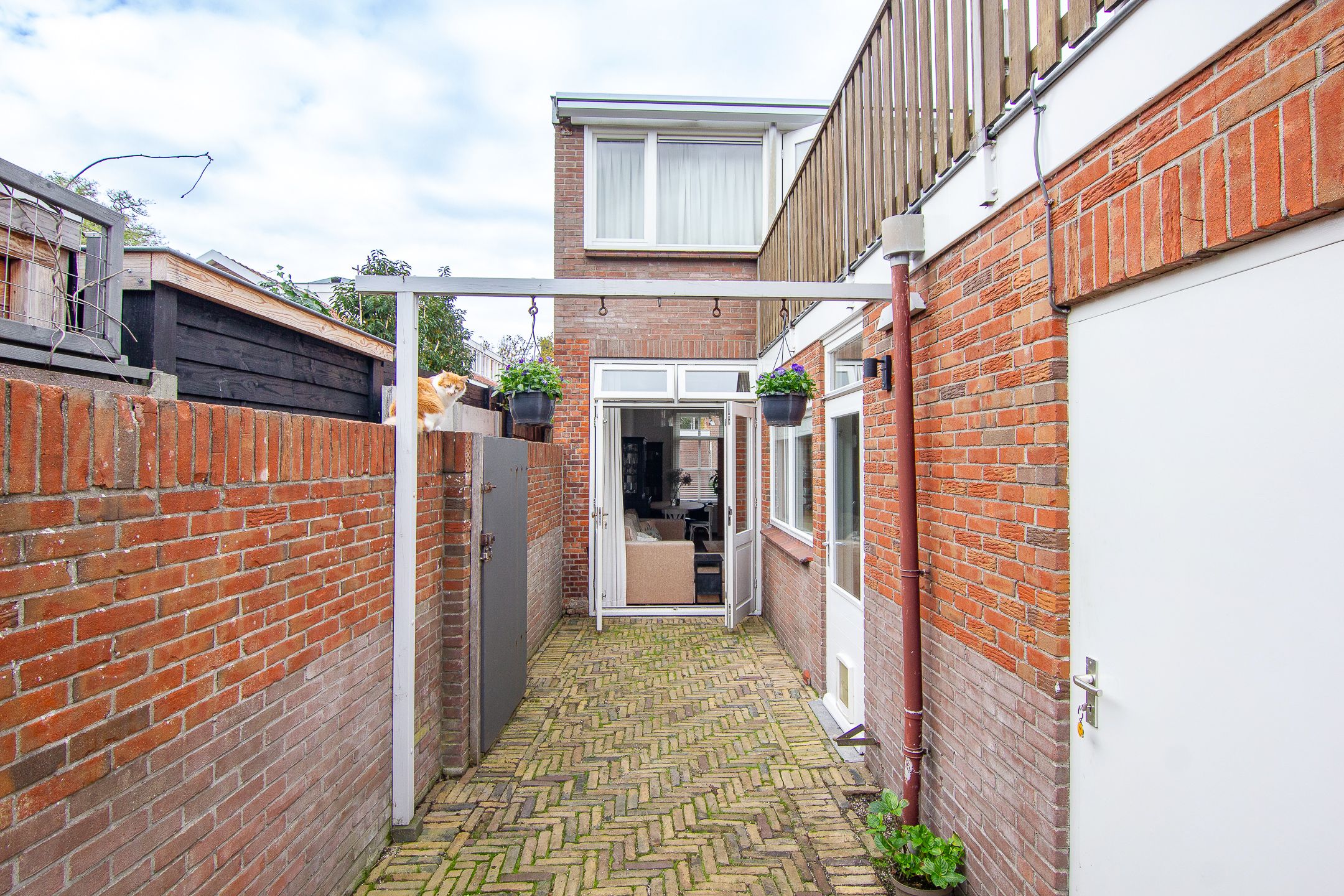 Foto 21 van Ranonkelstraat 2