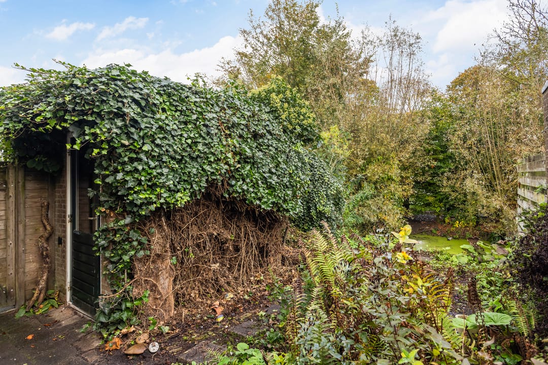 Foto 16 van Pastoar ten Bokumstrjitte 7