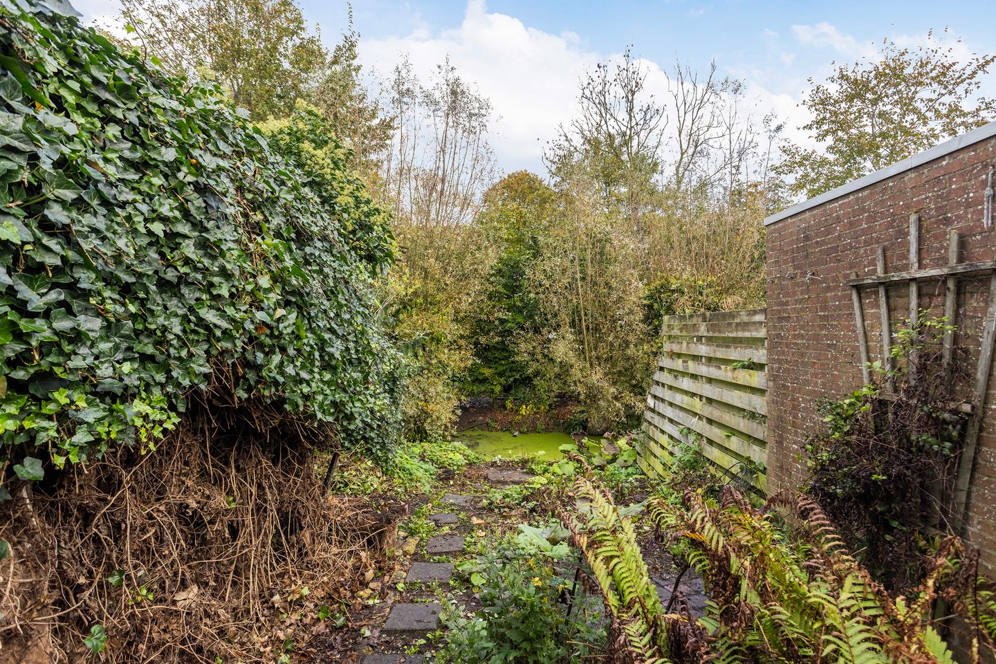 Foto 19 van Pastoar ten Bokumstrjitte 7