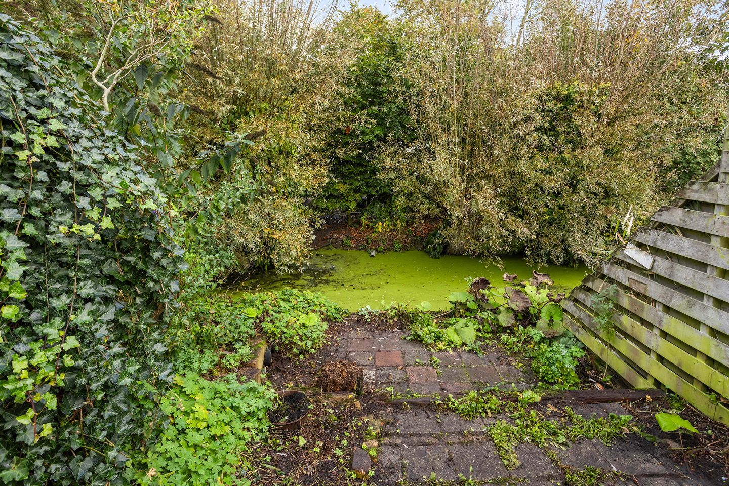 Foto 20 van Pastoar ten Bokumstrjitte 7