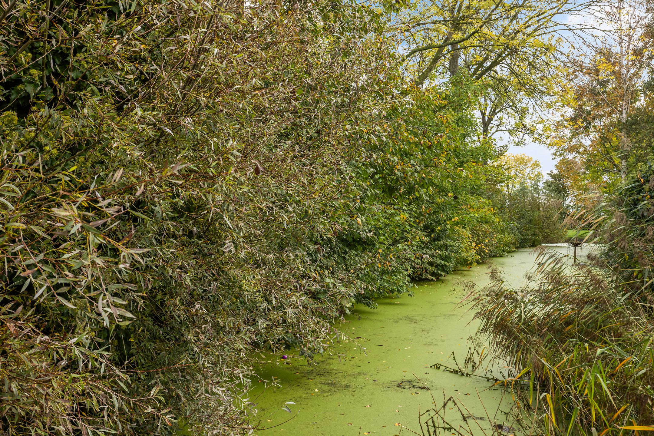 Foto 21 van Pastoar ten Bokumstrjitte 7