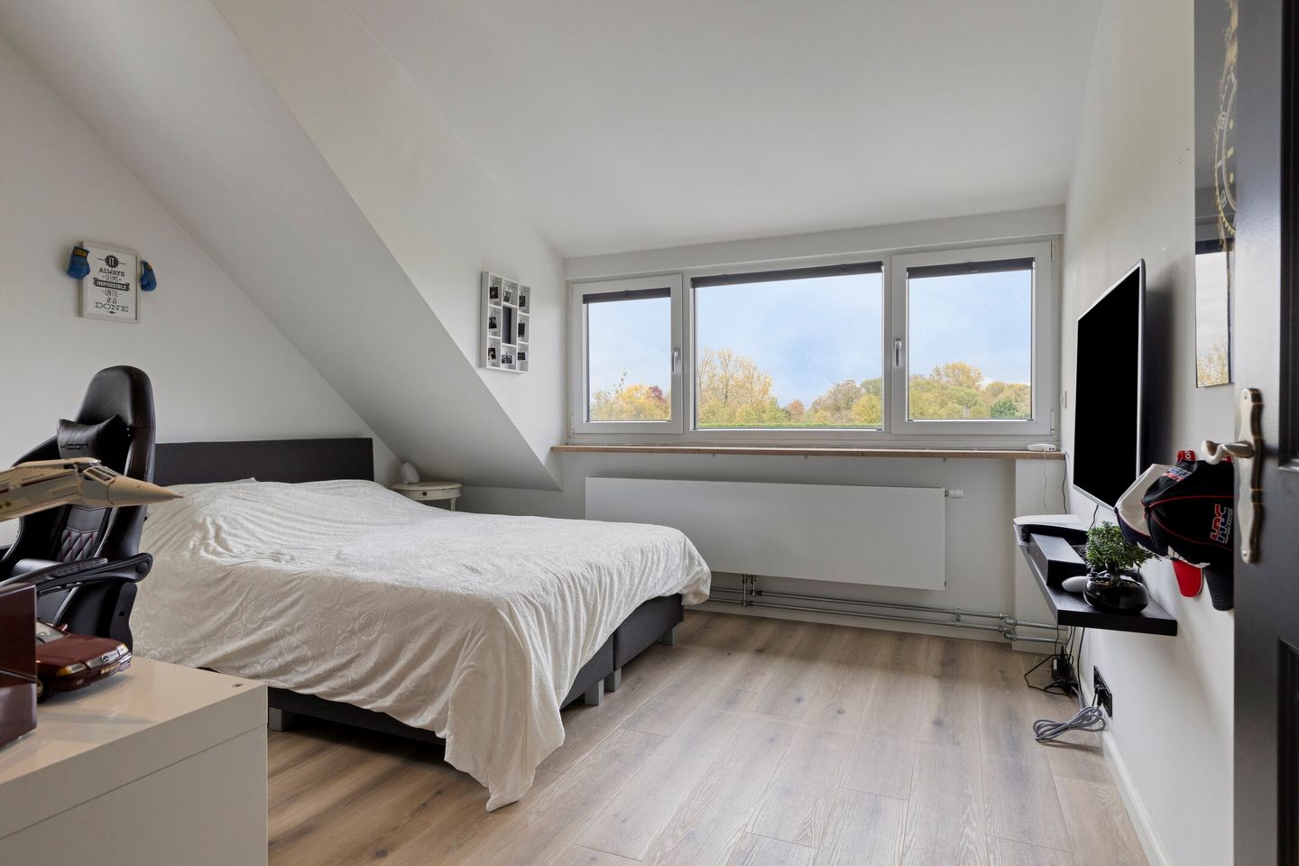 Foto 20 van Afgeslechtedijk 17