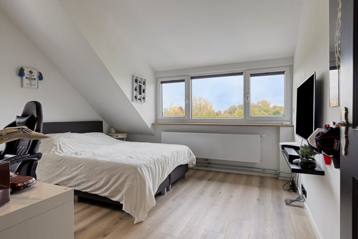 Foto 20 van Afgeslechtedijk 17