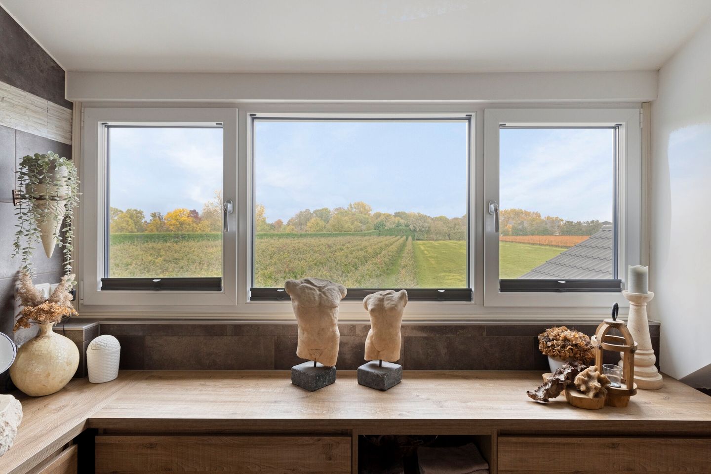 Foto 29 van Afgeslechtedijk 17