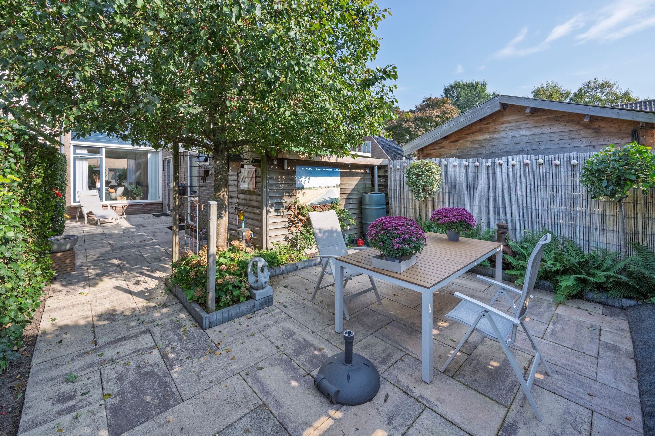 Foto 3 van Dahliastraat 3