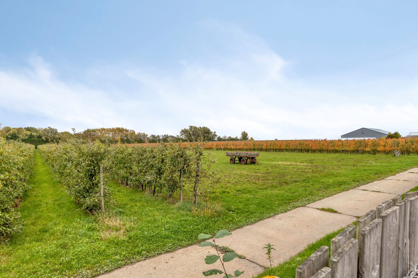 Foto 40 van Afgeslechtedijk 17